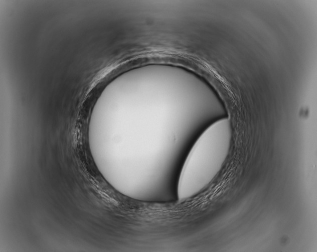 X0000101151208200806270752
