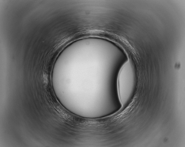 X0000101151209200806270752
