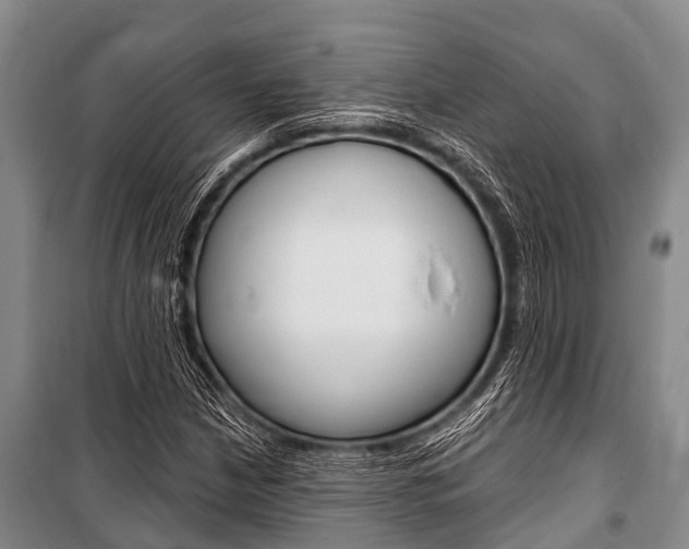 X0000101151210200806270752