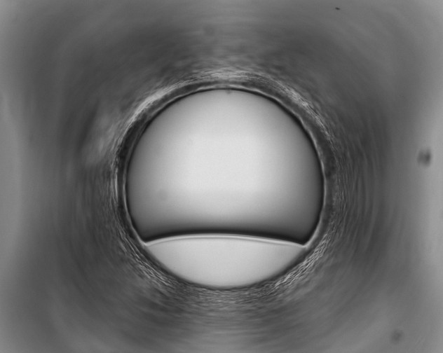 X0000101151214200806270752