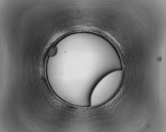 X0000101151215200806270752