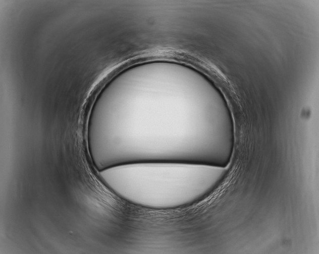 X0000101151216200806270752