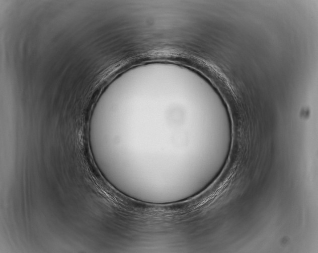 X0000101151217200806270752