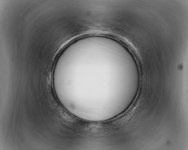 X0000101151220200806270752