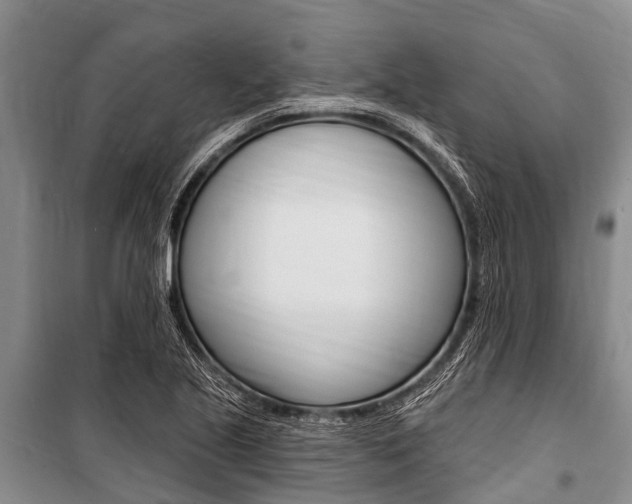 X0000101151221200806270752