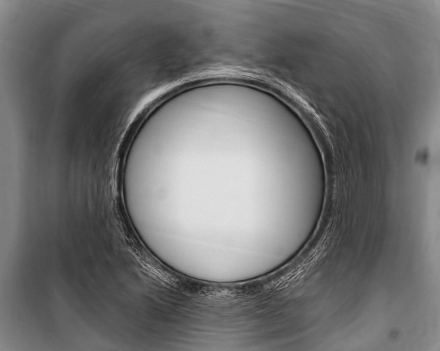 X0000101151222200806270752