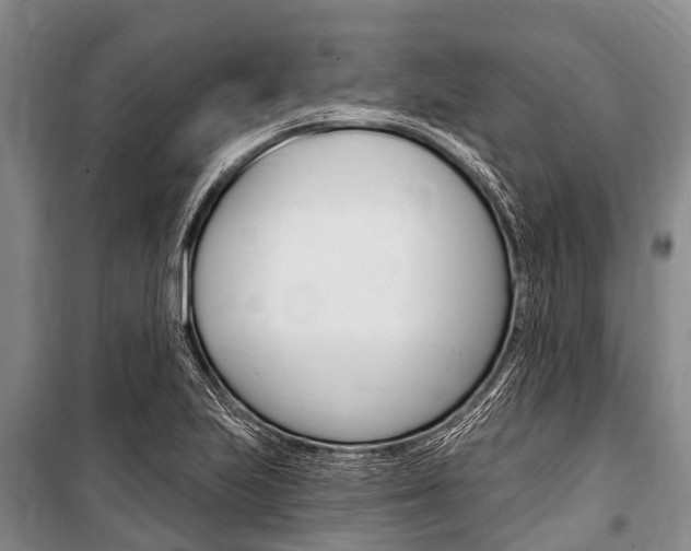 X0000101151223200806270752