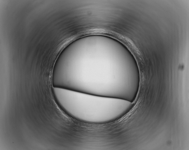 X0000101151225200806270752