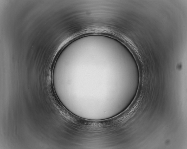 X0000101151226200806270752