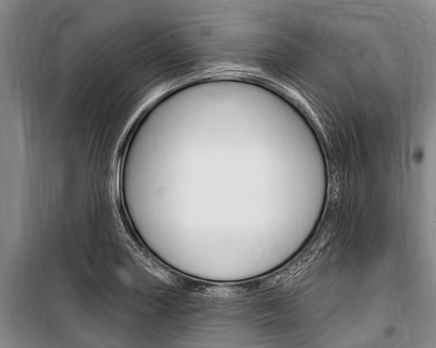 X0000101151227200806270752