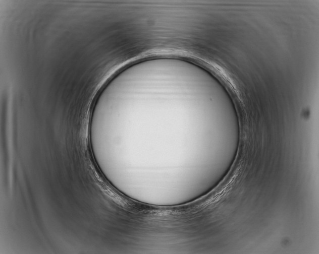 X0000101151228200806270752