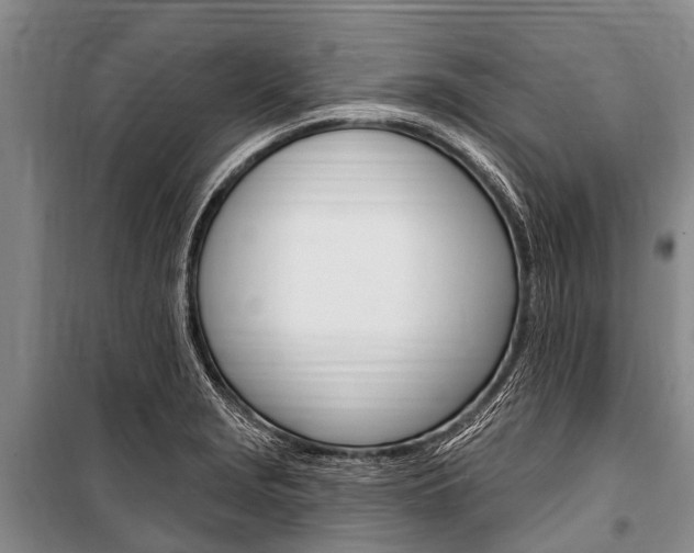 X0000101151229200806270752