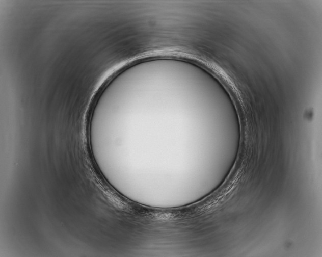 X0000101151230200806270752