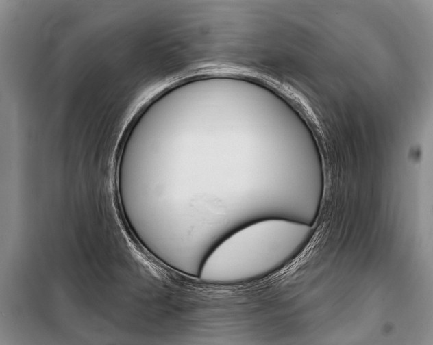 X0000101151231200806270752