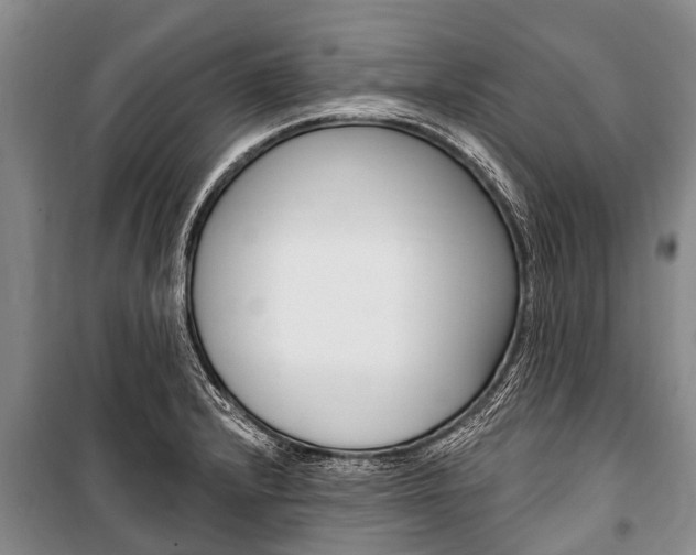 X0000101151232200806270752