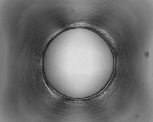 X0000101151233200806270752