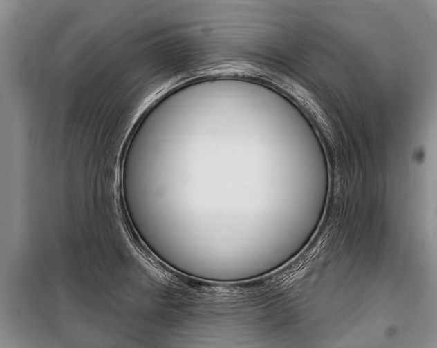 X0000101151234200806270752
