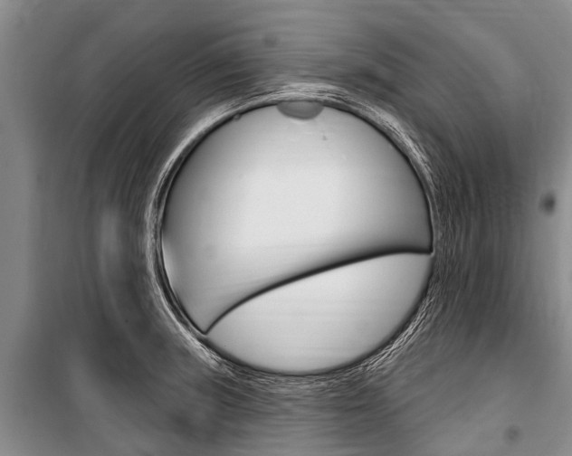 X0000101151235200806270752