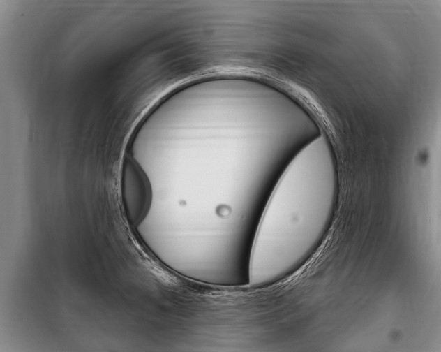 X0000101151236200806270752