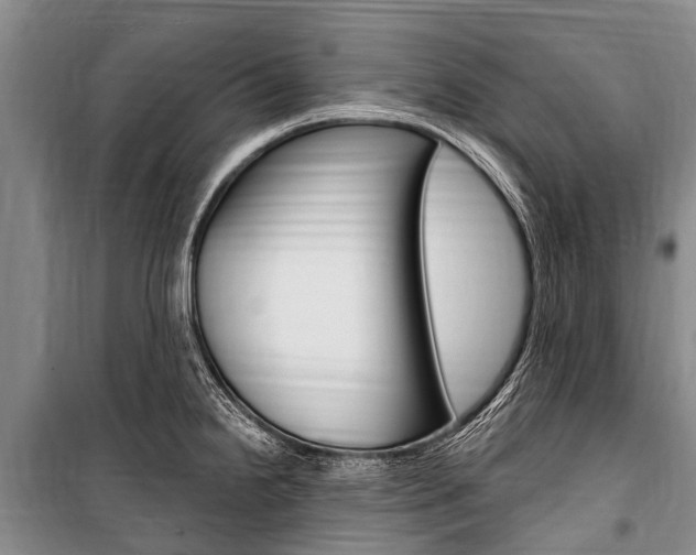 X0000101151238200806270752