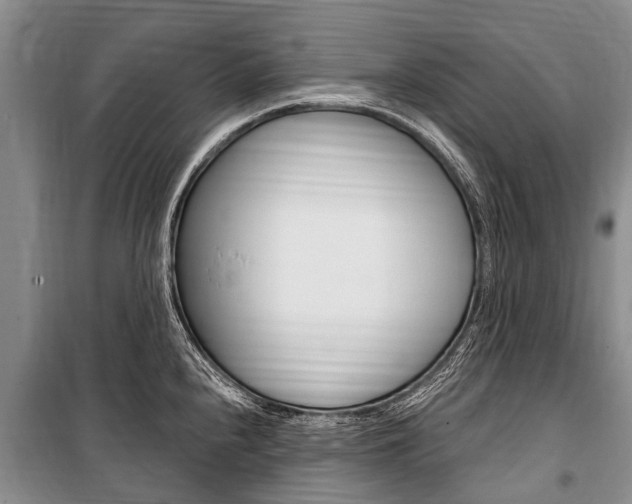 X0000101151240200806270752