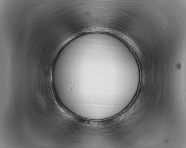 X0000101151241200806270752