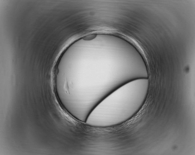 X0000101151243200806270752
