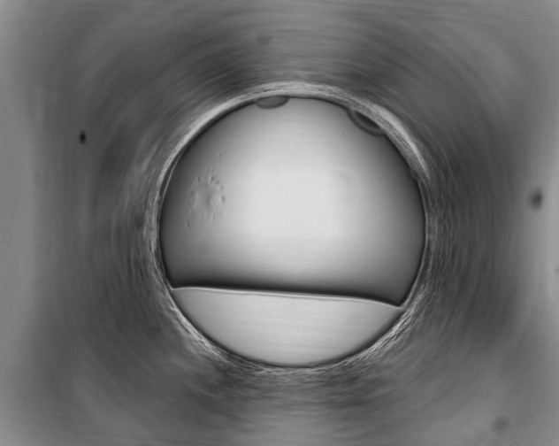 X0000101151244200806270752