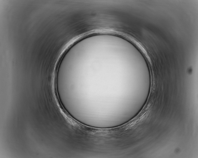 X0000101151245200806270752