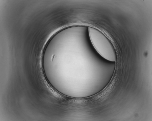 X0000101151246200806270752