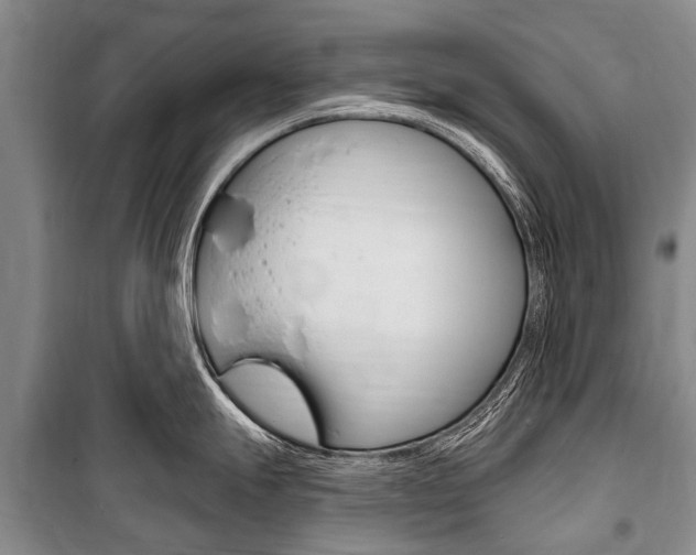 X0000101151247200806270752