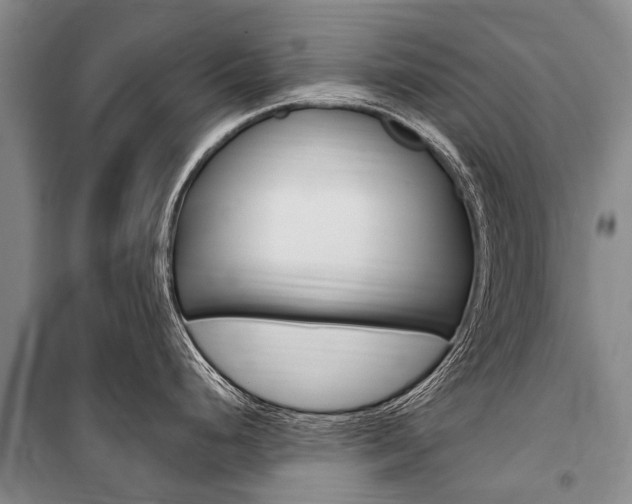 X0000101151248200806270752