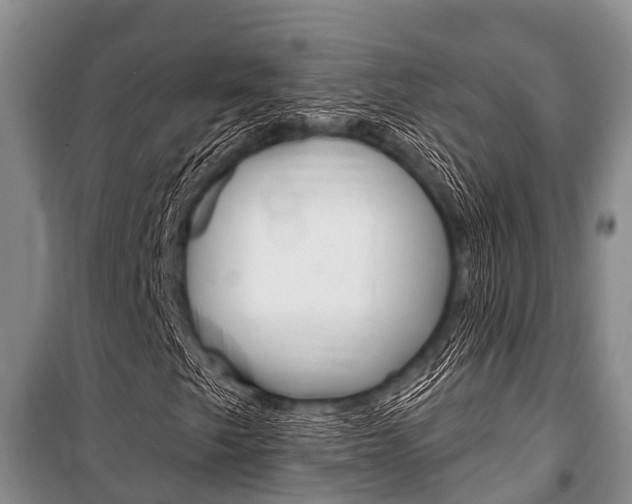 X0000101151249200806270751
