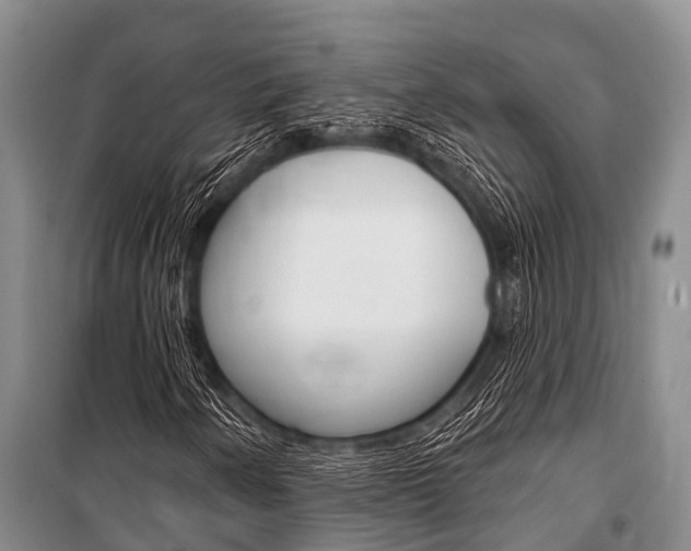 X0000101151250200806270751