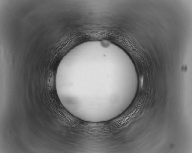 X0000101151251200806270751