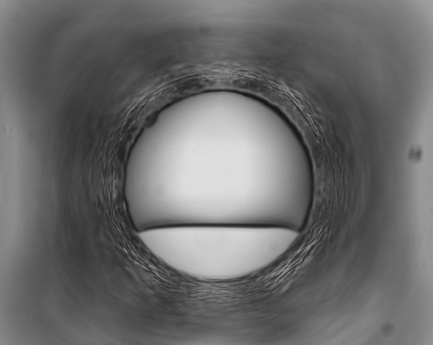 X0000101151253200806270751