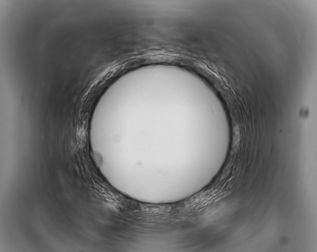 X0000101151254200806270751