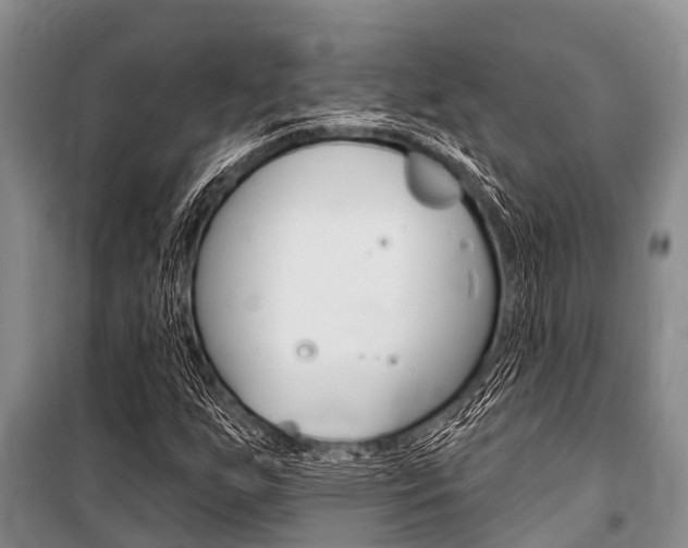 X0000101151255200806270751
