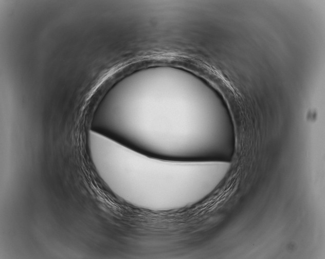 X0000101151256200806270751