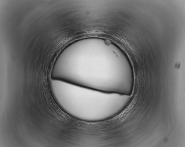 X0000101151257200806270751