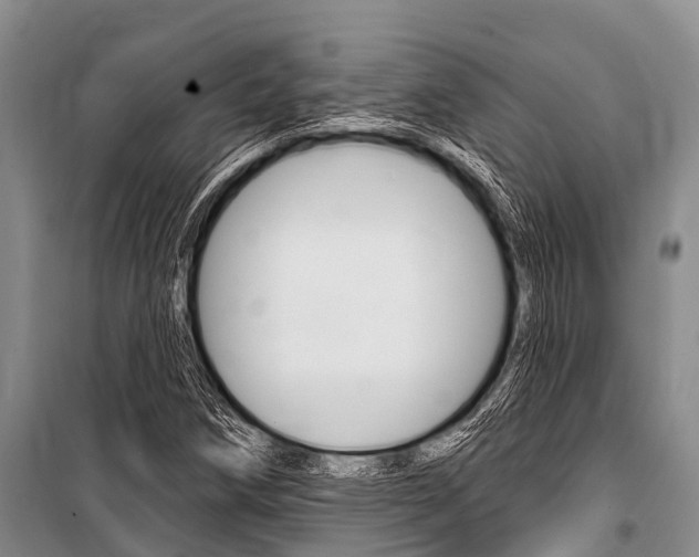 X0000101151258200806270751