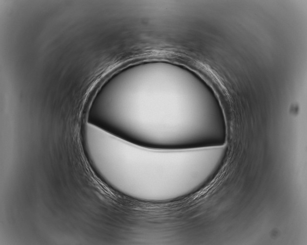 X0000101151260200806270751