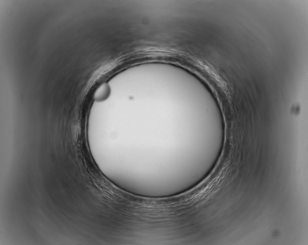X0000101151261200806270751