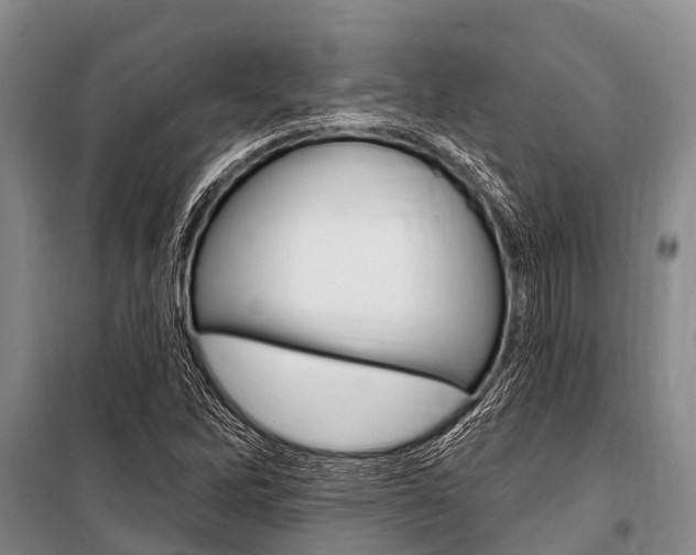 X0000101151262200806270751