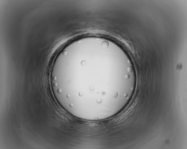 X0000101151263200806270751