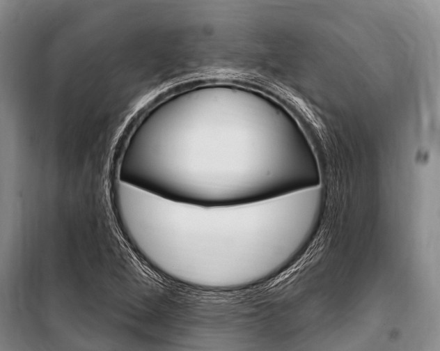 X0000101151264200806270751