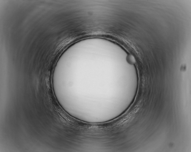 X0000101151265200806270751