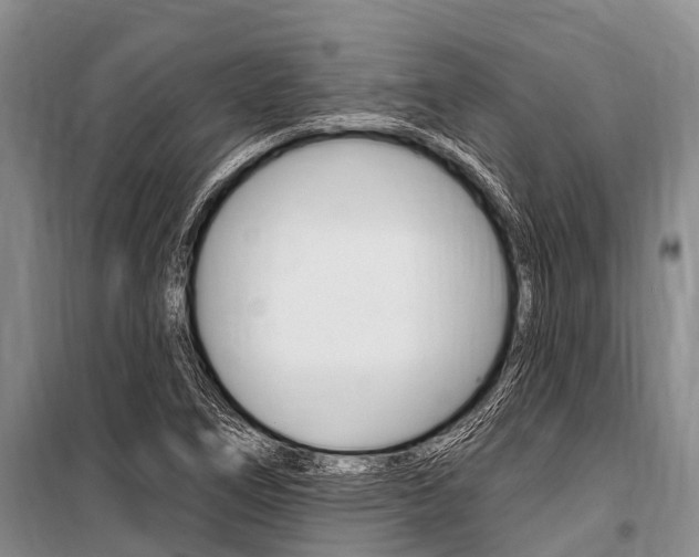 X0000101151266200806270751