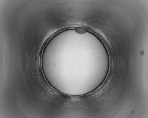 X0000101151267200806270751