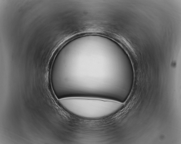 X0000101151268200806270751